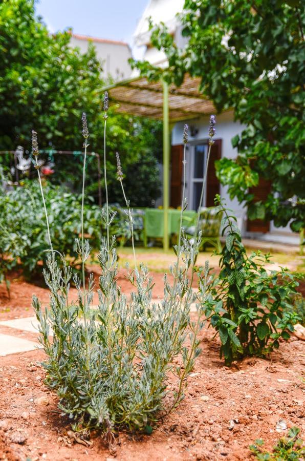 Gaia Residence Χερσόνησος Εξωτερικό φωτογραφία
